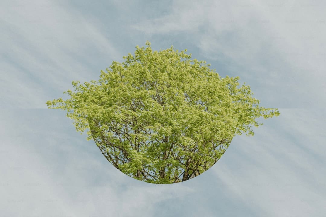 盯着拾荒老人不放,是怜悯?还是想遮羞?